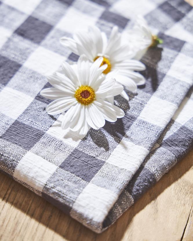 Nappe à carreaux et marguerites